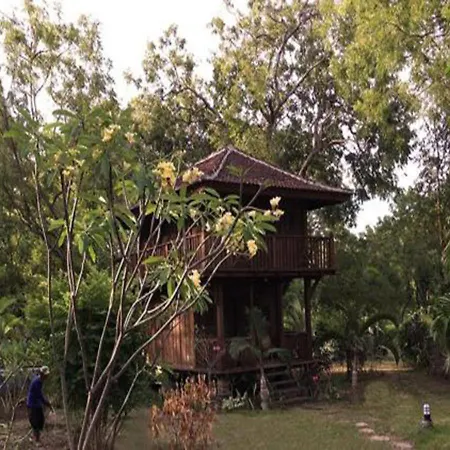 Dune Alaya Eco Hotel