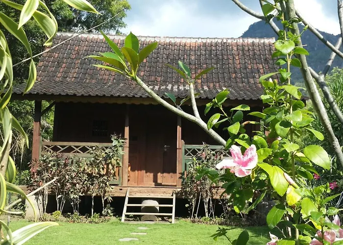 Dune Alaya Eco * Pemuteran
