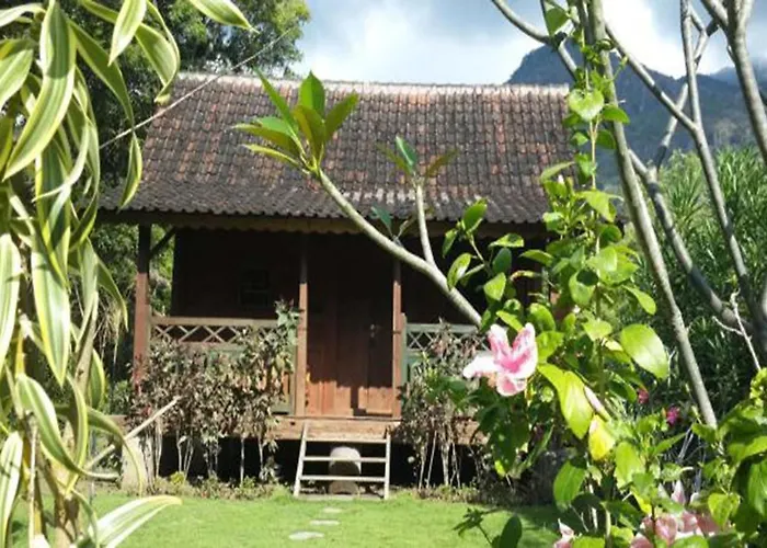 Dune Alaya Eco Resort *
