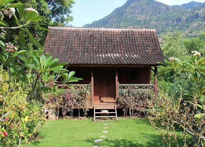 Resort Dune Alaya Eco *